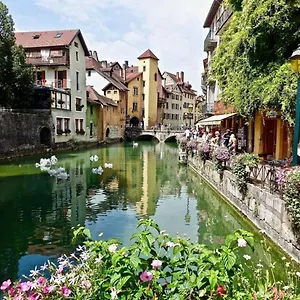  Appartement Hyper Center 100m From The Lake! France